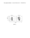 CELL LINE OF LYMPHOCYTES COMPRISING GAMMA-DELTA T CELLS, COMPOSITION AND     PRODUCTION METHOD THEREOF diagram and image