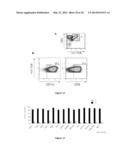 CELL LINE OF LYMPHOCYTES COMPRISING GAMMA-DELTA T CELLS, COMPOSITION AND     PRODUCTION METHOD THEREOF diagram and image