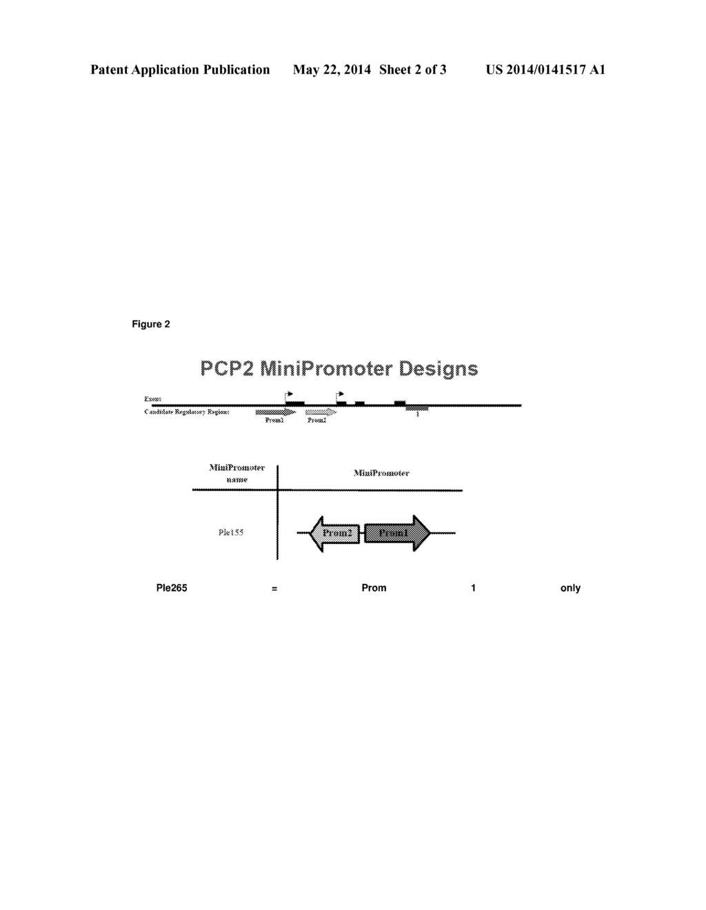 PCP2 Mini-Promoters - diagram, schematic, and image 03