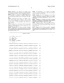 PCP2 Mini-Promoters diagram and image