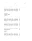 PCP2 Mini-Promoters diagram and image