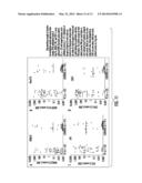 NEOPLASIA SCREENING COMPOSITIONS AND METHODS OF USE diagram and image