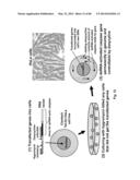 Anti-Pathogen Treatments diagram and image