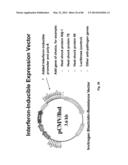 Anti-Pathogen Treatments diagram and image