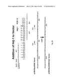 Anti-Pathogen Treatments diagram and image