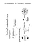 Anti-Pathogen Treatments diagram and image