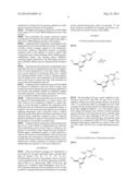 THERAPEUTIC SUBSTANCES THAT MODULATE GENOME METHYLATION diagram and image