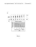 TELOMERASE ACTIVATING COMPOUNDS AND METHODS OF USE THEREOF diagram and image