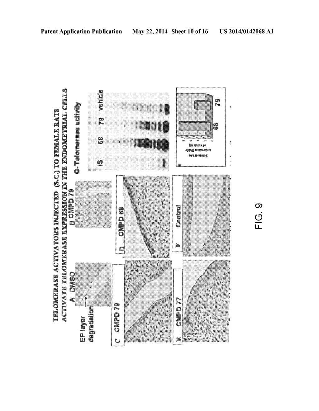 TELOMERASE ACTIVATING COMPOUNDS AND METHODS OF USE THEREOF - diagram, schematic, and image 11