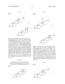 NON-HORMONAL STEROID MODULATORS OF NF-kB FOR TREATMENT OF DISEASE diagram and image