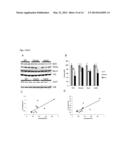 AGENTS USEFUL FOR TREATING FRIEDREICH S ATAXIA AND OTHER NEURODEGENERATIVE     DISEASES diagram and image