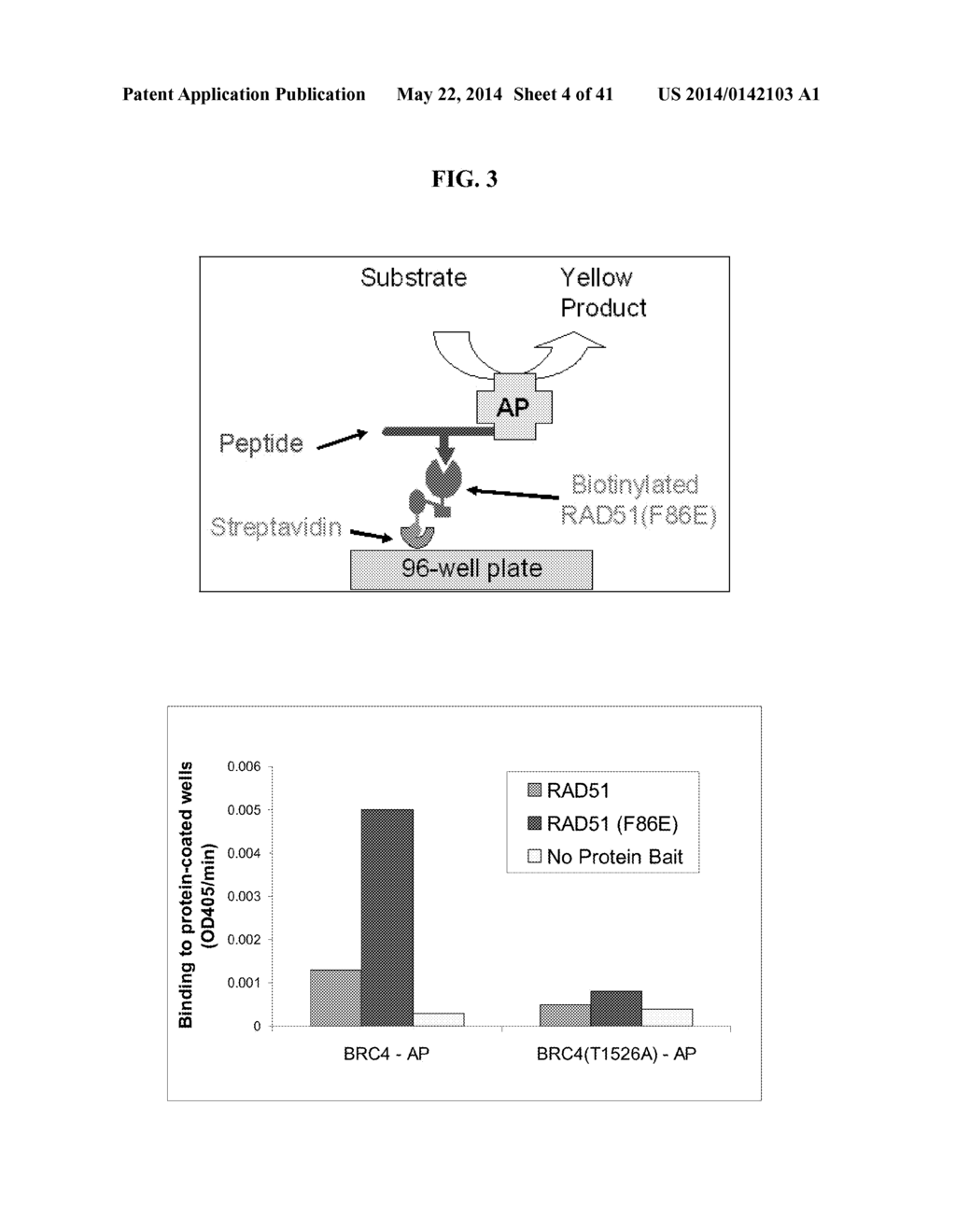 Methods and Compositions for Modulating Rad51 and Homologous Recombination - diagram, schematic, and image 05