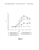 KINASE INHIBITOR diagram and image