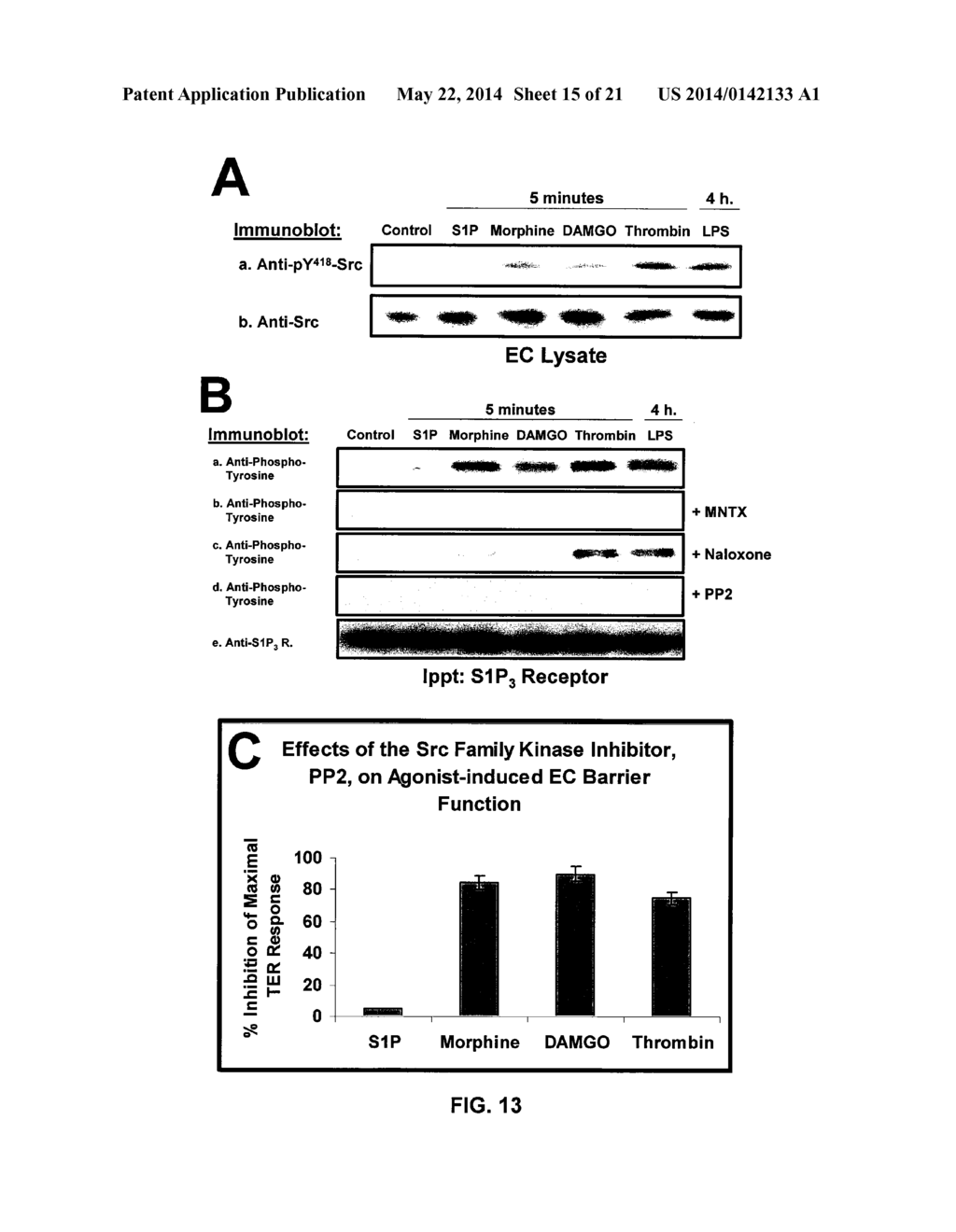 MODULATION OF CELL BARRIER DYSFUNCTION - diagram, schematic, and image 16