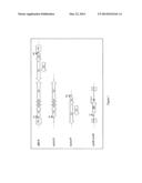 DENSOVIRUS-DERIVED VECTOR FOR GENE TRANSFER IN INSECTS diagram and image