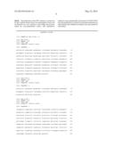 DENSOVIRUS-DERIVED VECTOR FOR GENE TRANSFER IN INSECTS diagram and image