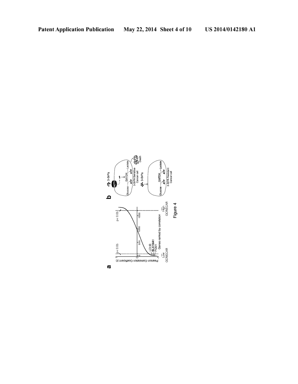 METHODS OF TREATING TUMORS HAVING ELEVATED MCT1 EXPRESSION - diagram, schematic, and image 05