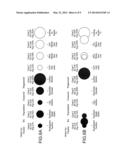 UNSUPERVISED PRIORITIZATION AND VISUALIZATION OF CLUSTERS diagram and image