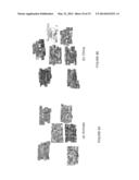 MASSIVE CLUSTERING OF DISCRETE DISTRIBUTIONS diagram and image