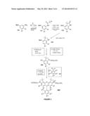 Fluorescent Polymeric Materials Containing Lipid Soluble Rhodamine Dyes diagram and image