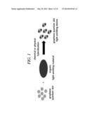 LIGHT EMITTING DEVICE USING GRAPHENE QUANTUM DOT AND ORGANIC LIGHT     EMITTING DEVICE INCLUDING THE SAME diagram and image