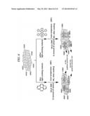 LIGHT EMITTING DEVICE USING GRAPHENE QUANTUM DOT AND ORGANIC LIGHT     EMITTING DEVICE INCLUDING THE SAME diagram and image