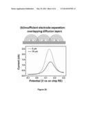 NANOWIRE ELECTRODE SENSOR diagram and image