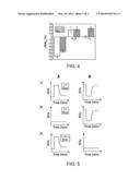 SELECTIVE NANOSCALE ASYMMETRIC GAS SENSORS diagram and image