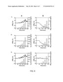 SELECTIVE NANOSCALE ASYMMETRIC GAS SENSORS diagram and image