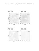 DIRECT ECHO PARTICLE IMAGE VELOCIMETRY FLOW VECTOR MAPPING ON ULTRASOUND     DICOM IMAGES diagram and image