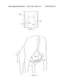 VISION SYSTEM FOR FACILITATING THE AUTOMATED APPLICATION OF DISINFECTANT     TO THE TEATS OF DAIRY LIVESTOCK diagram and image