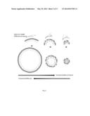 STABILIZED NANOBUBBLES FOR DIAGNOSTIC AND THERAPEUTIC APPLICATIONS diagram and image