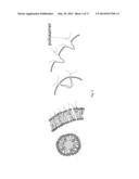 STABILIZED NANOBUBBLES FOR DIAGNOSTIC AND THERAPEUTIC APPLICATIONS diagram and image