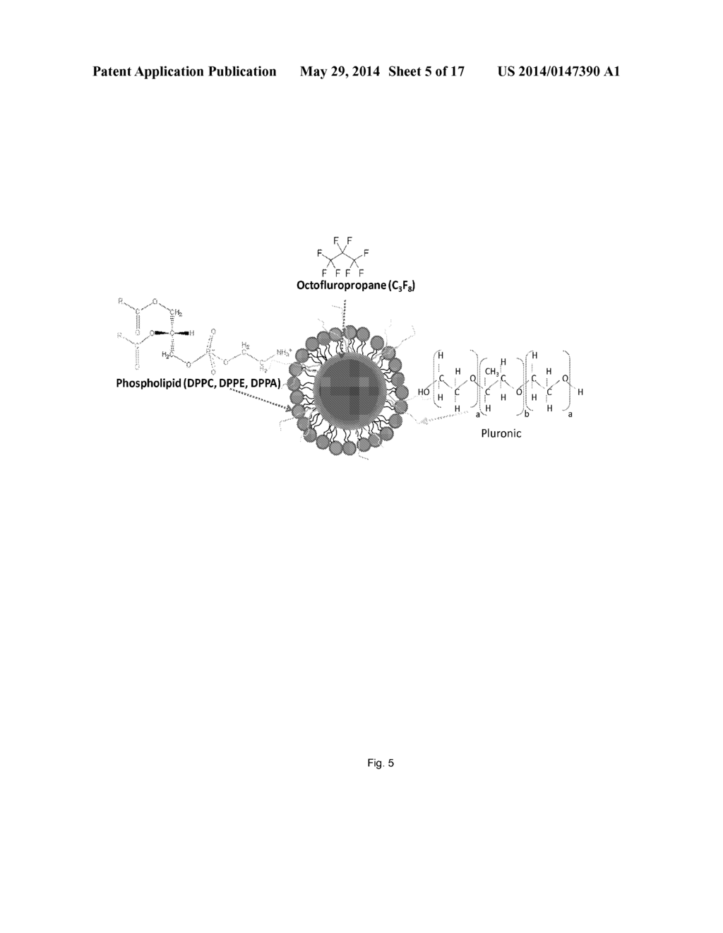 STABILIZED NANOBUBBLES FOR DIAGNOSTIC AND THERAPEUTIC APPLICATIONS - diagram, schematic, and image 06