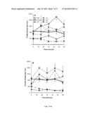 STABILIZED NANOBUBBLES FOR DIAGNOSTIC AND THERAPEUTIC APPLICATIONS diagram and image