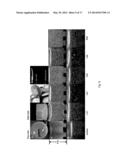 STABILIZED NANOBUBBLES FOR DIAGNOSTIC AND THERAPEUTIC APPLICATIONS diagram and image