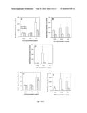 STABILIZED NANOBUBBLES FOR DIAGNOSTIC AND THERAPEUTIC APPLICATIONS diagram and image