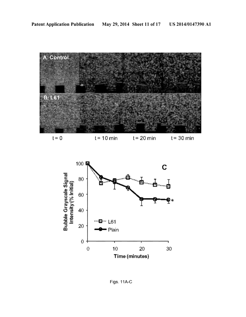 STABILIZED NANOBUBBLES FOR DIAGNOSTIC AND THERAPEUTIC APPLICATIONS - diagram, schematic, and image 12