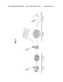 COMPOSITIONS AND METHODS FOR FORMATION OF BONE TISSUE diagram and image