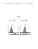 COMPOSITIONS AND METHODS FOR FORMATION OF BONE TISSUE diagram and image