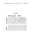 COMPOSITIONS AND METHODS FOR FORMATION OF BONE TISSUE diagram and image