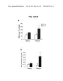 COMPOSITIONS AND METHODS FOR FORMATION OF BONE TISSUE diagram and image