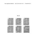 COMPOSITIONS AND METHODS FOR FORMATION OF BONE TISSUE diagram and image