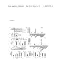 C1Q/TNF-RELATED PROTEIN 12 AND COMPOSITIONS AND METHODS OF USING SAME diagram and image