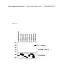 C1Q/TNF-RELATED PROTEIN 12 AND COMPOSITIONS AND METHODS OF USING SAME diagram and image