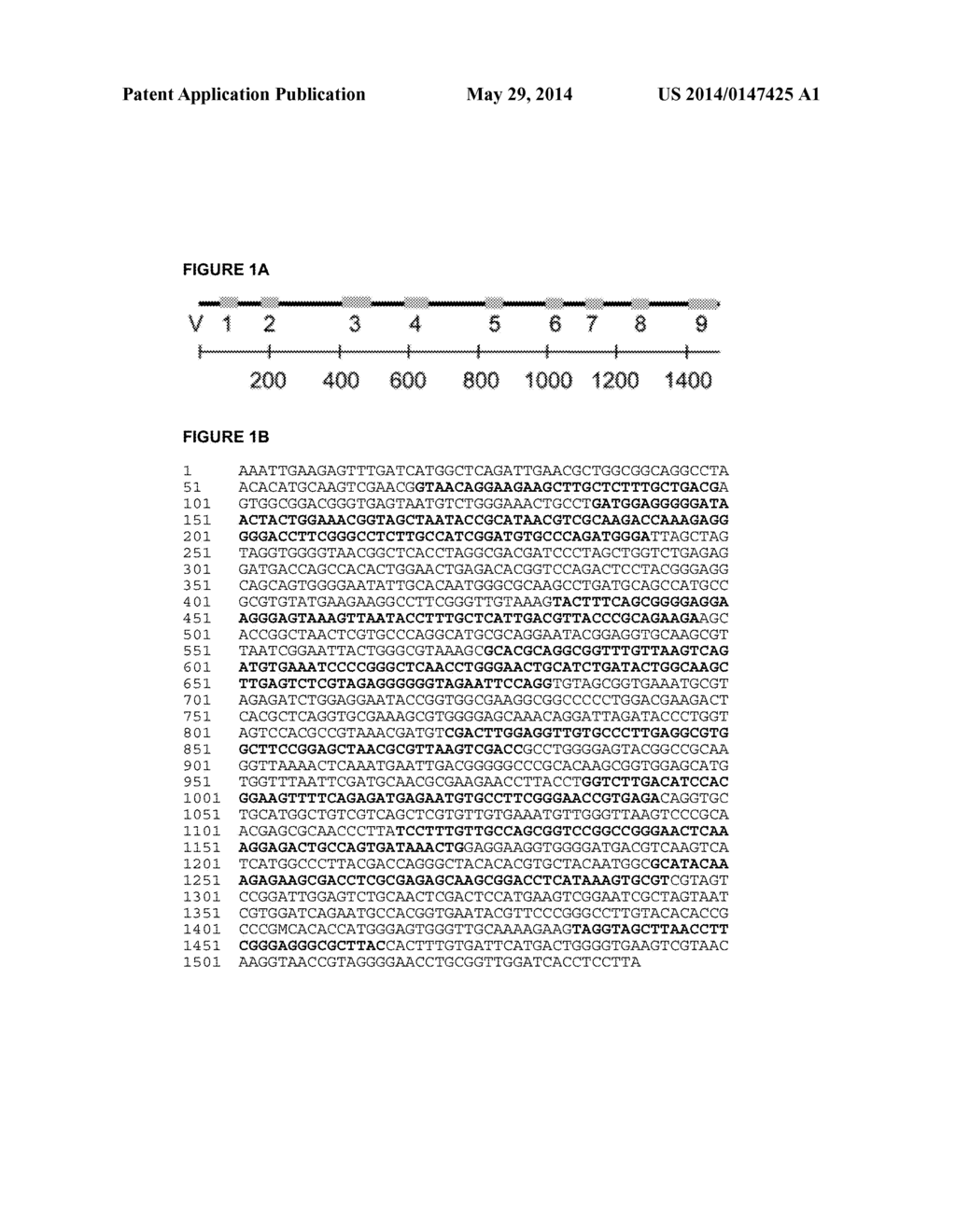 SYNERGISTIC BACTERIAL COMPOSITIONS AND METHODS OF PRODUCTION AND USE     THEREOF - diagram, schematic, and image 02