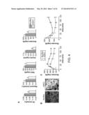 Compositions and Methods for Modulating Desnutrin-Mediated Adipocyte     Lipolysis diagram and image