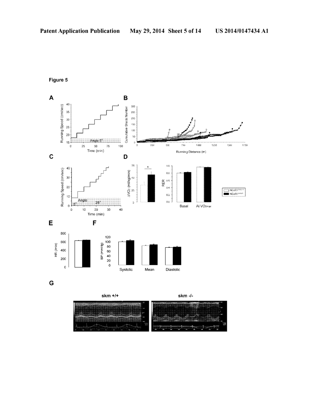 NCoR1 is a Physiological Modulator of Muscle Mass and Oxidative Function - diagram, schematic, and image 06