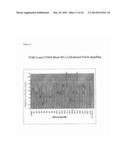 COMPOSITIONS AND METHODS FOR DIAGNOSING AND TREATING CANCER diagram and image