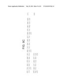 SELECTIVE BINDING AGENTS OF OSTEOPROTEGERIN BINDING PROTEIN diagram and image